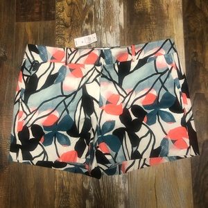 Ann Taylor Signature Shorts Size 14 NWT